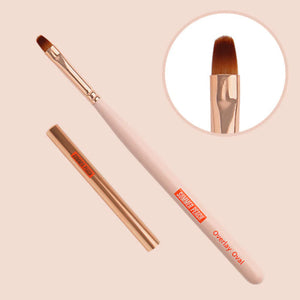 DANJINAIL Summer Peach Overlay Brush Set